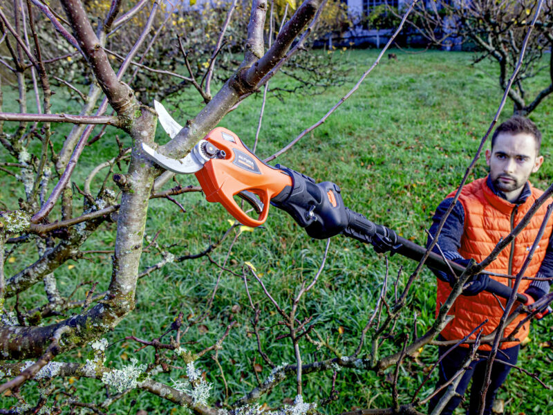 What is pruning and what pruning techniques exist?